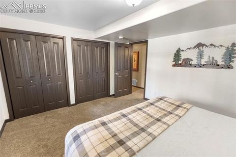 Tiny photo for 1195 Ptarmigan Drive, Woodland Park, CO 80863 (MLS # 6847760)