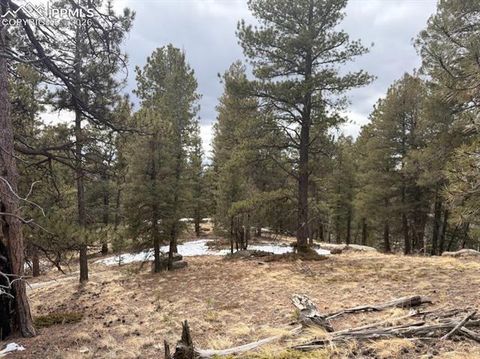 Photo of 84 Point View Circle, Florissant, CO 80816 (MLS # 7602355)