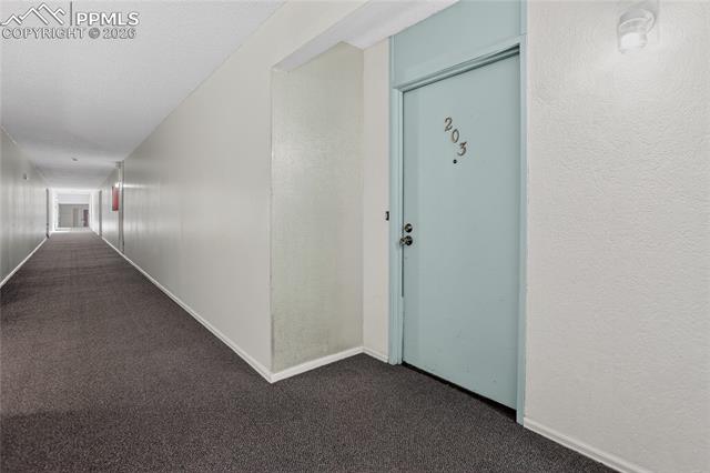 6540 Delmonico Drive 203