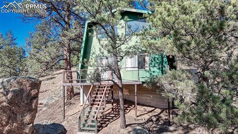 Photo of 86 Wilson Drive, Florissant, CO 80816 (MLS # 2014137)