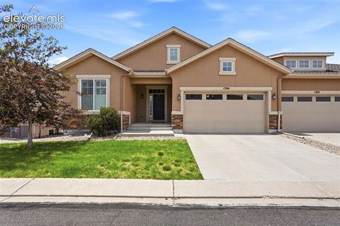 Photo of 1394 Promontory Bluff View, Colorado Springs, CO 80921 (MLS # 4897473)
