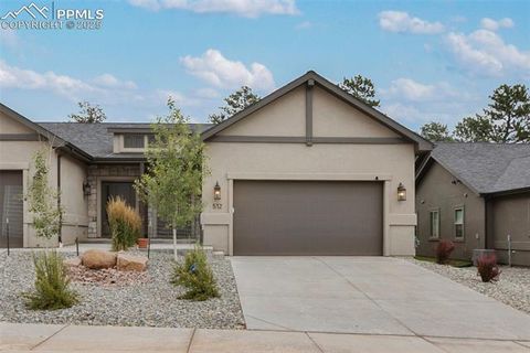 Tiny photo for 512 Brecken Court #A, Woodland Park, CO 80863 (MLS # 9695222)