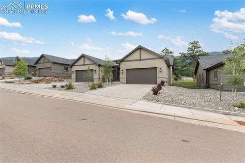 Tiny photo for 512 Brecken Court #A, Woodland Park, CO 80863 (MLS # 9695222)