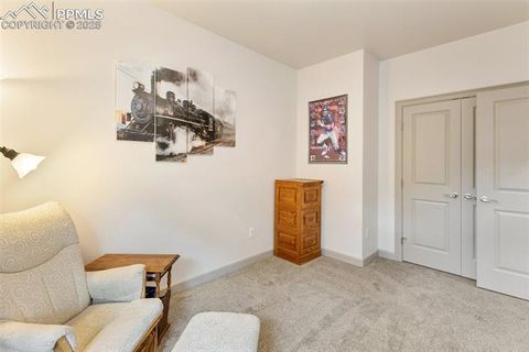 Tiny photo for 512 Brecken Court #A, Woodland Park, CO 80863 (MLS # 9695222)