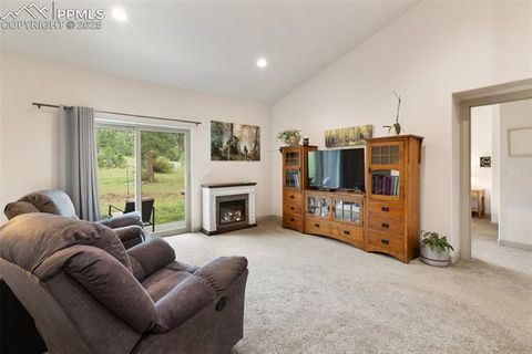 Tiny photo for 512 Brecken Court #A, Woodland Park, CO 80863 (MLS # 9695222)