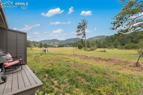 Tiny photo for 512 Brecken Court #A, Woodland Park, CO 80863 (MLS # 9695222)