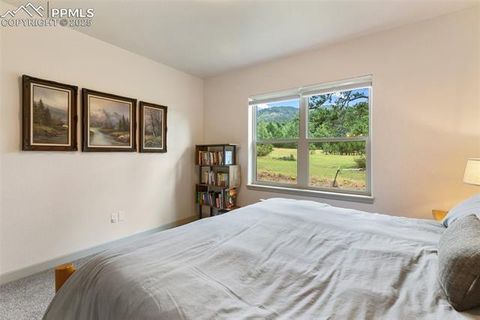 Tiny photo for 512 Brecken Court #A, Woodland Park, CO 80863 (MLS # 9695222)