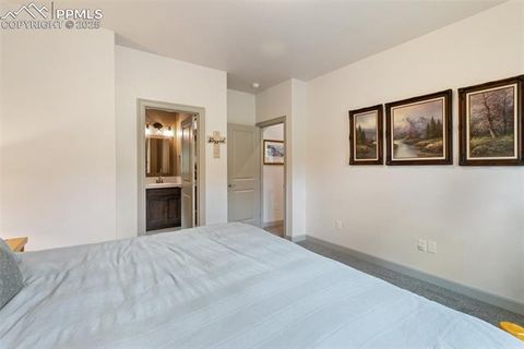 Tiny photo for 512 Brecken Court #A, Woodland Park, CO 80863 (MLS # 9695222)