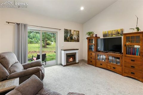 Tiny photo for 512 Brecken Court #A, Woodland Park, CO 80863 (MLS # 9695222)