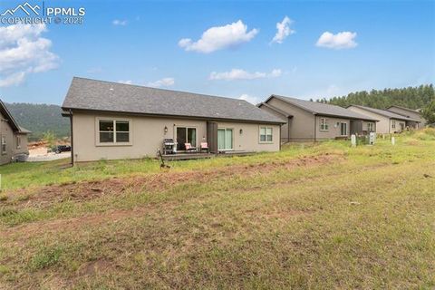 Tiny photo for 512 Brecken Court #A, Woodland Park, CO 80863 (MLS # 9695222)