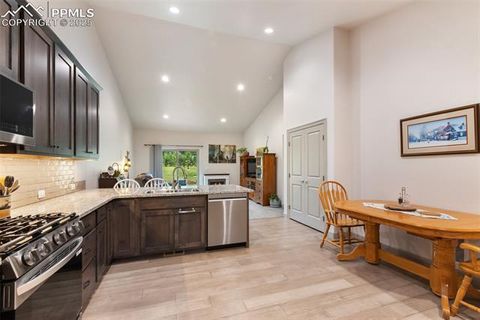 Tiny photo for 512 Brecken Court #A, Woodland Park, CO 80863 (MLS # 9695222)