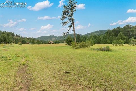 Tiny photo for 512 Brecken Court #A, Woodland Park, CO 80863 (MLS # 9695222)