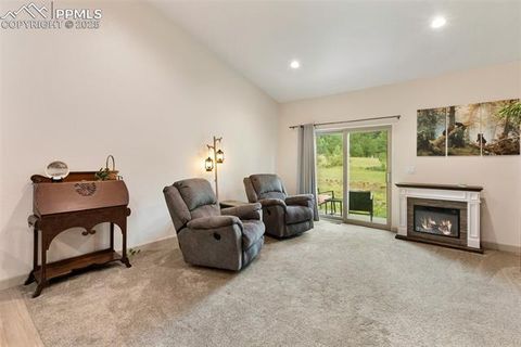 Tiny photo for 512 Brecken Court #A, Woodland Park, CO 80863 (MLS # 9695222)