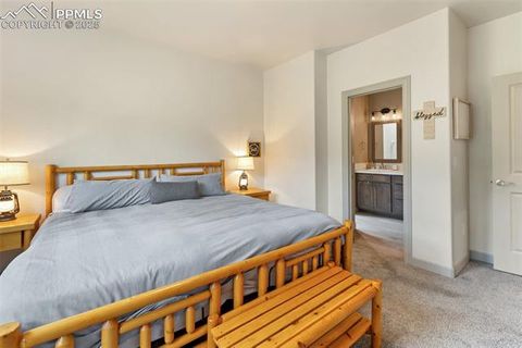 Tiny photo for 512 Brecken Court #A, Woodland Park, CO 80863 (MLS # 9695222)