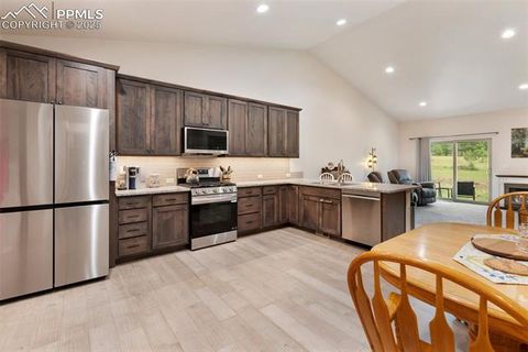 Tiny photo for 512 Brecken Court #A, Woodland Park, CO 80863 (MLS # 9695222)