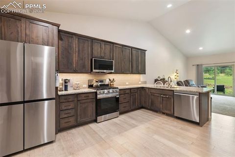 Tiny photo for 512 Brecken Court #A, Woodland Park, CO 80863 (MLS # 9695222)