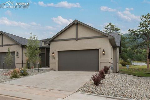 Tiny photo for 512 Brecken Court #A, Woodland Park, CO 80863 (MLS # 9695222)