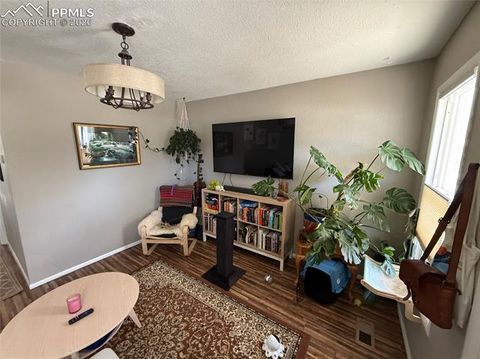 Tiny photo for 220 Willow Street, Colorado Springs, CO 80903 (MLS # 7108542)