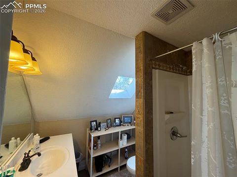 Tiny photo for 220 Willow Street, Colorado Springs, CO 80903 (MLS # 7108542)