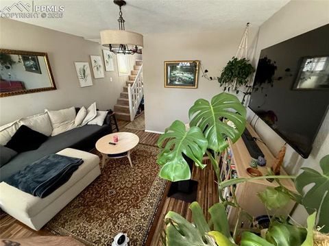 Tiny photo for 220 Willow Street, Colorado Springs, CO 80903 (MLS # 7108542)