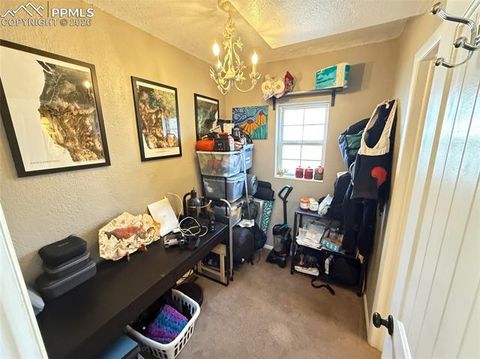 Tiny photo for 220 Willow Street, Colorado Springs, CO 80903 (MLS # 7108542)