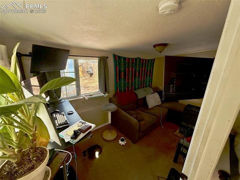 Tiny photo for 220 Willow Street, Colorado Springs, CO 80903 (MLS # 7108542)