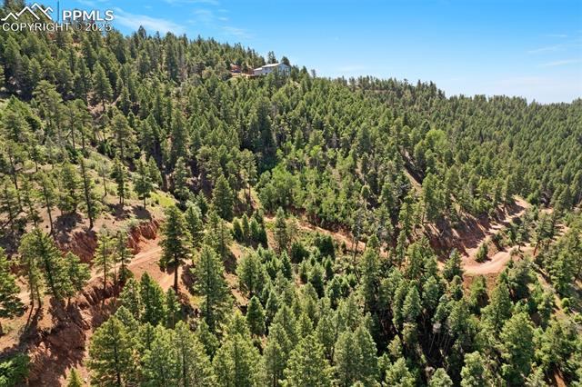 13294 N Firedog Way, Larkspur, CO, 80118 13294 N Firedog Way