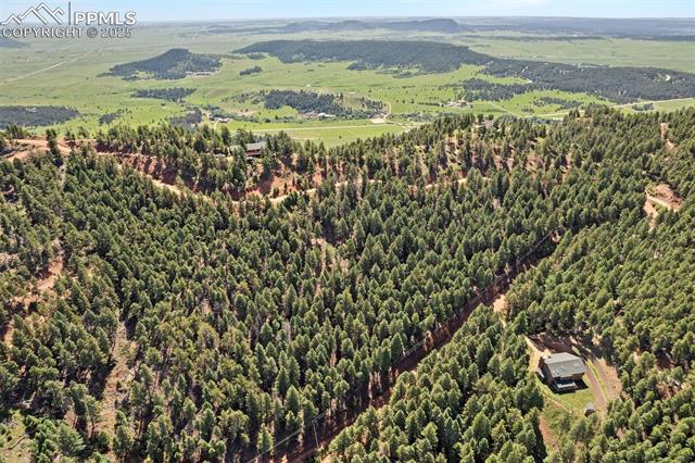 13294 N Firedog Way, Larkspur, CO, 80118 13294 N Firedog Way