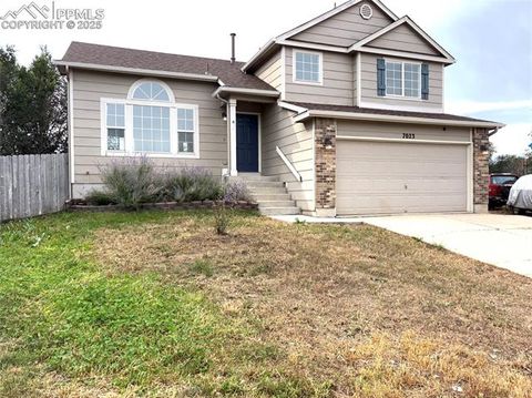 7023 Lolo Drive Colorado Springs CO 80911