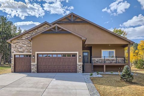 1313 Stone Ridge Drive Woodland Park CO 80863