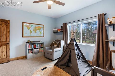 Tiny photo for 1378 Millstone Lane, Woodland Park, CO 80863 (MLS # 9079745)