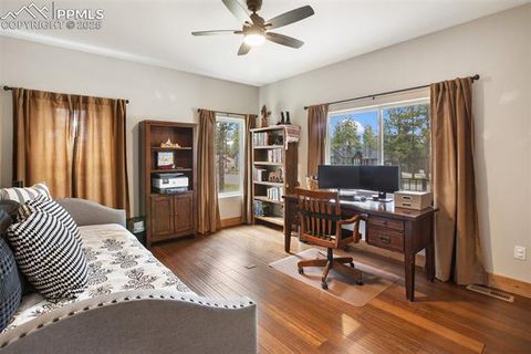Tiny photo for 1378 Millstone Lane, Woodland Park, CO 80863 (MLS # 9079745)