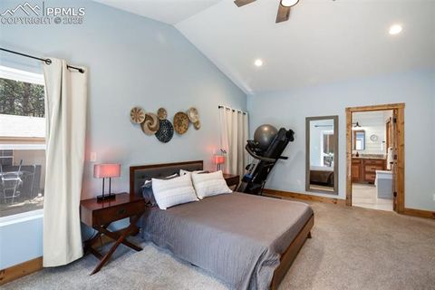 Tiny photo for 1378 Millstone Lane, Woodland Park, CO 80863 (MLS # 9079745)