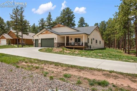 Tiny photo for 1378 Millstone Lane, Woodland Park, CO 80863 (MLS # 9079745)