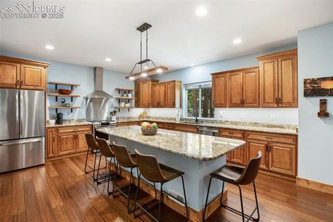 Tiny photo for 1378 Millstone Lane, Woodland Park, CO 80863 (MLS # 9079745)