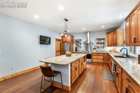 Tiny photo for 1378 Millstone Lane, Woodland Park, CO 80863 (MLS # 9079745)