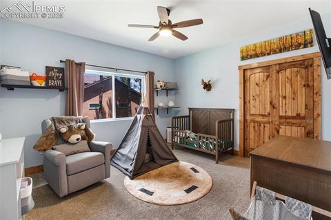 Tiny photo for 1378 Millstone Lane, Woodland Park, CO 80863 (MLS # 9079745)