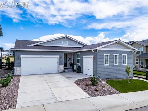 Photo of 115 Lovejoy Circle, Castle Rock, CO 80104 (MLS # 8633884) Photo of 115 Lovejoy Circle, Castle Rock, CO 80104 (MLS # 8633884)