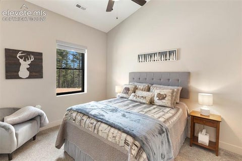 Tiny photo for 5542 North Road, Divide, CO 80814 (MLS # 8540295)