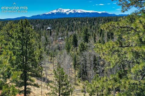 Tiny photo for 5542 North Road, Divide, CO 80814 (MLS # 8540295)