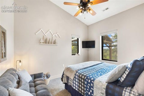 Tiny photo for 5542 North Road, Divide, CO 80814 (MLS # 8540295)