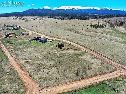 Photo of 34 Herald Lane, Divide, CO 80814 (MLS # 2470518)