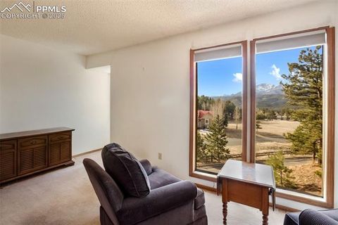 Tiny photo for 590 Greenway Court #A, Woodland Park, CO 80863 (MLS # 7189939)