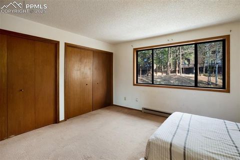 Tiny photo for 590 Greenway Court #A, Woodland Park, CO 80863 (MLS # 7189939)