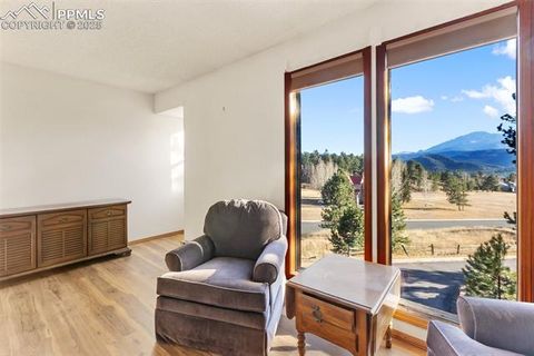 Tiny photo for 590 Greenway Court #A, Woodland Park, CO 80863 (MLS # 7189939)