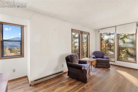 Tiny photo for 590 Greenway Court #A, Woodland Park, CO 80863 (MLS # 7189939)