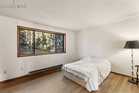 Tiny photo for 590 Greenway Court #A, Woodland Park, CO 80863 (MLS # 7189939)
