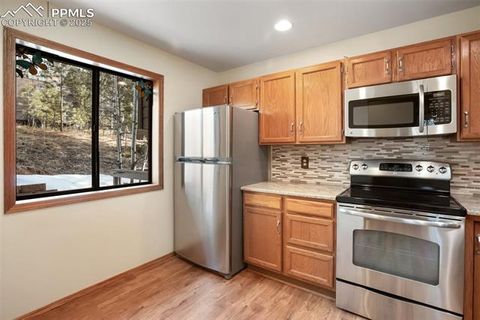 Tiny photo for 590 Greenway Court #A, Woodland Park, CO 80863 (MLS # 7189939)