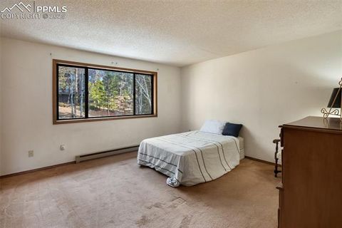 Tiny photo for 590 Greenway Court #A, Woodland Park, CO 80863 (MLS # 7189939)