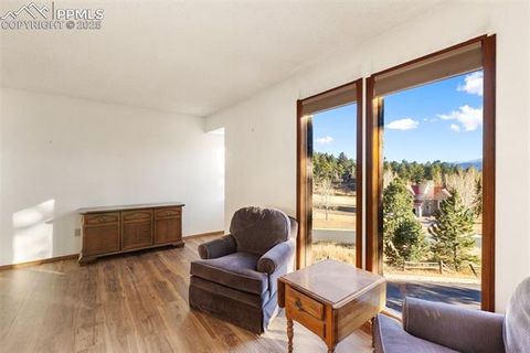 Tiny photo for 590 Greenway Court #A, Woodland Park, CO 80863 (MLS # 7189939)